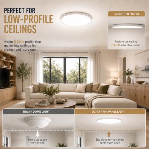 Ceiling Lights