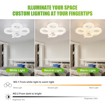Socket Ceiling Fan Light