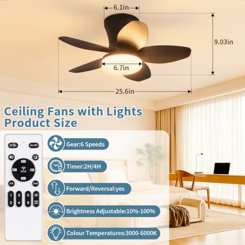 Small Ceiling Fan with Lights