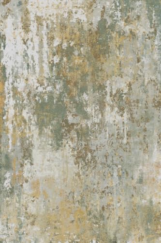 Abstract Washable Area Rugs for Living Room Bedroom Hallway Kitchen Entryway Runner