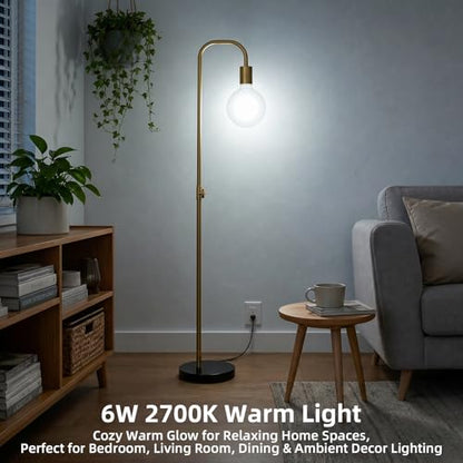Large Globe Light Bulbs 60 Watt Equivalent (6w-5000k)