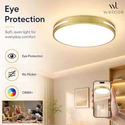 Close to Ceiling Light VC10