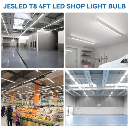 T8 4FT led Light Bulbs