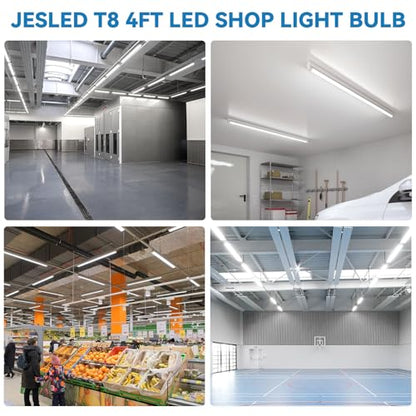 T8 4FT led Light Bulbs
