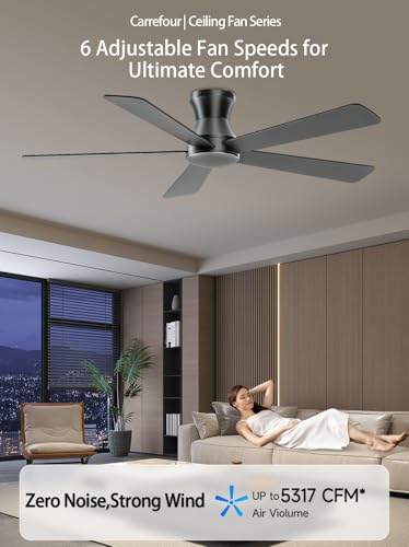 Ceiling Fan No Light