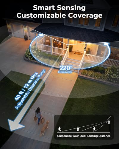 V81624SP Outdoor wall Light