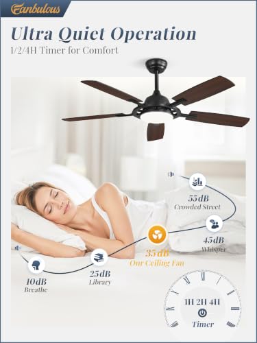 Large Ceiling Fans with Lights
