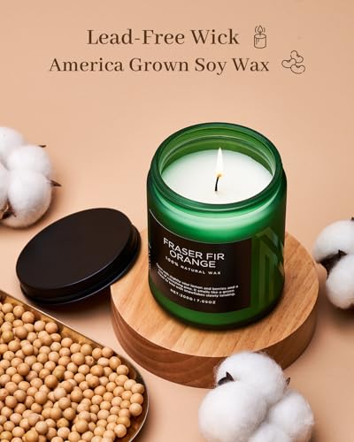 Fraser Fir Orange Non Toxic Christmas Scented Candles 11.6Oz 70H (Small Jar / Fraser Fir Orange)