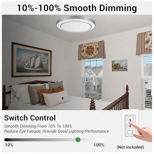 20Inch LED Flush Mount Ceiling Light (Silver / 20Inch)