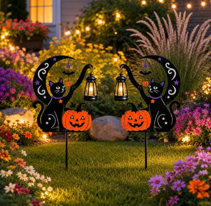 2 Pack Outdoor Yard Light Decorations
