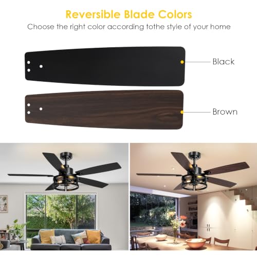 ceiling fan