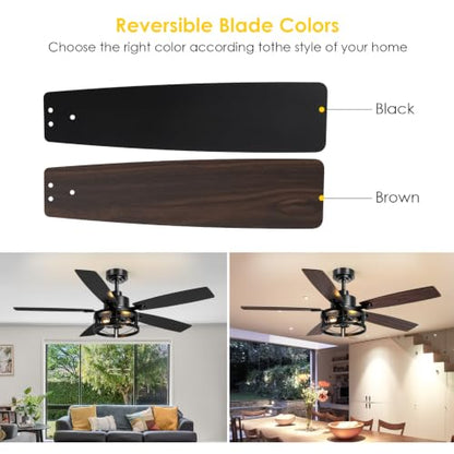 ceiling fan