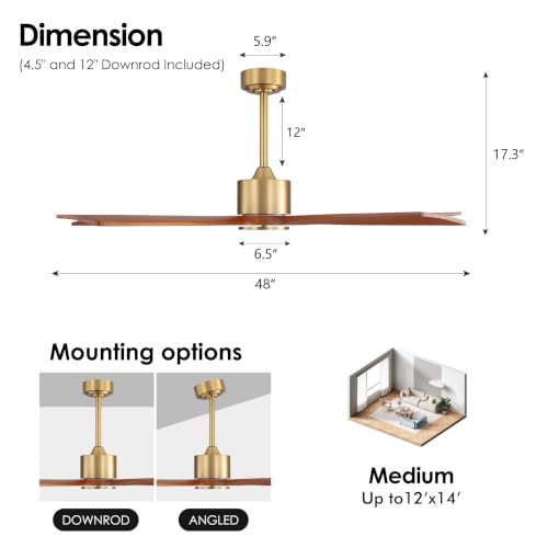 5 Blade Ceiling Fan No Lights