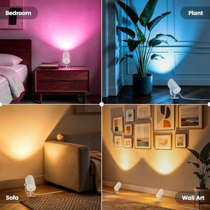 Uplights Indoor