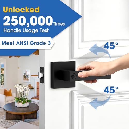 Door Lock Matte Black Door Knob with Lock