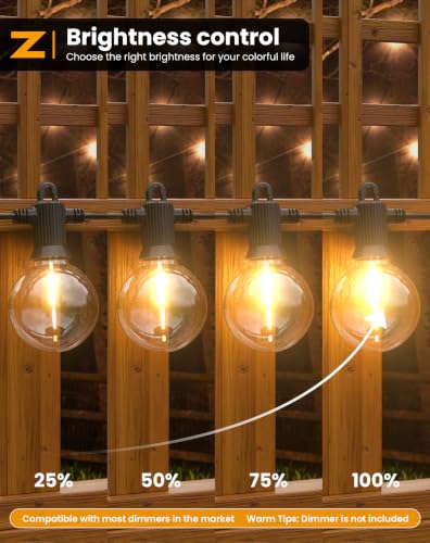 G50 String Lights