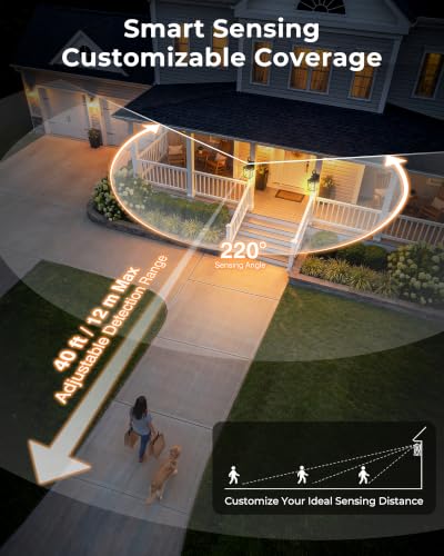 G81615P Outdoor wall Light