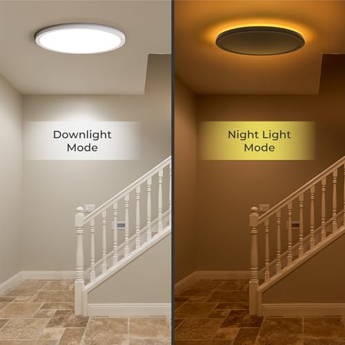 12in LED Flush Mount Ceiling Light Fixture with Remote Control