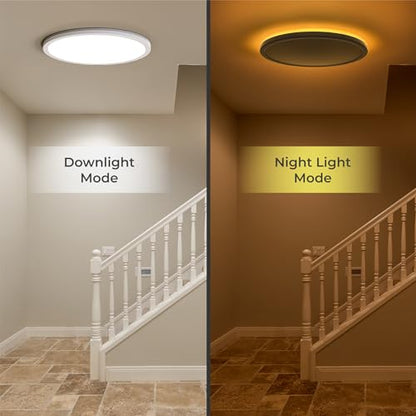 12in LED Flush Mount Ceiling Light Fixture with Remote Control