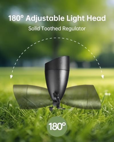 Low Voltage Landscape Lighting