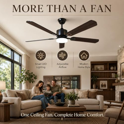 Ceiling Fans with Lights
