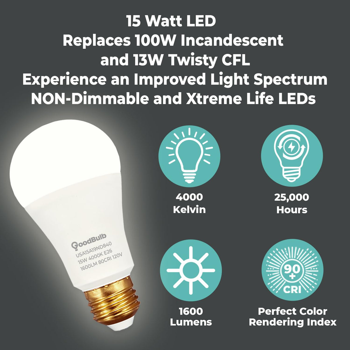 Made in USA A19 LED Light Bulbs (Cool White)