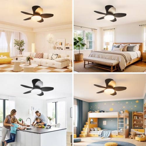 Small Ceiling Fan with Lights