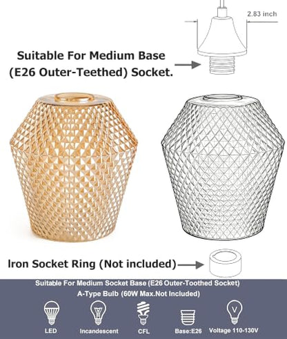 2Pcs Small Glass Lamp Shades