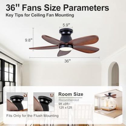 Ceiling Fan with Light