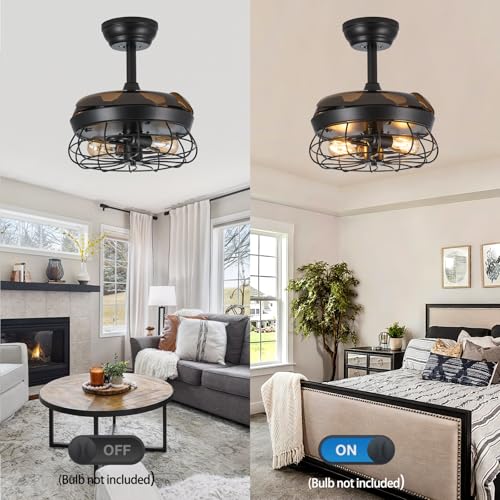 Caged Ceiling Fan