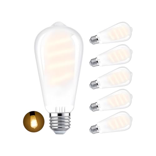 E26 Edison Bulbs