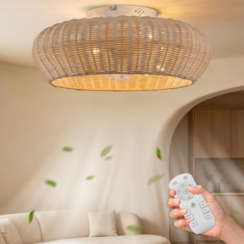 Ceiling Fan with Light