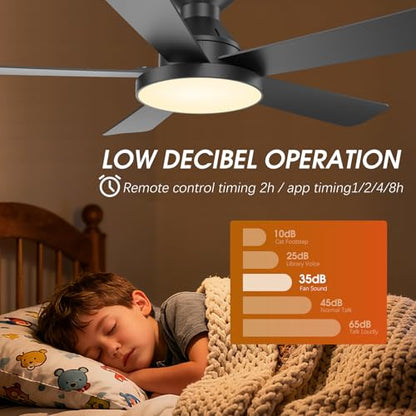Ceiling Fans with Lights