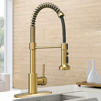 High Arc Spring Kitchen Faucet with Pull Down Sprayer