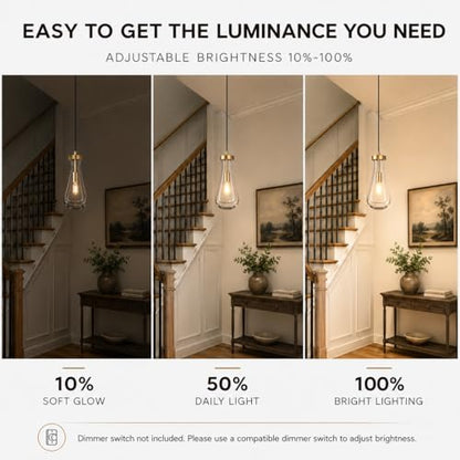 Modern Teardrop Pendant Light