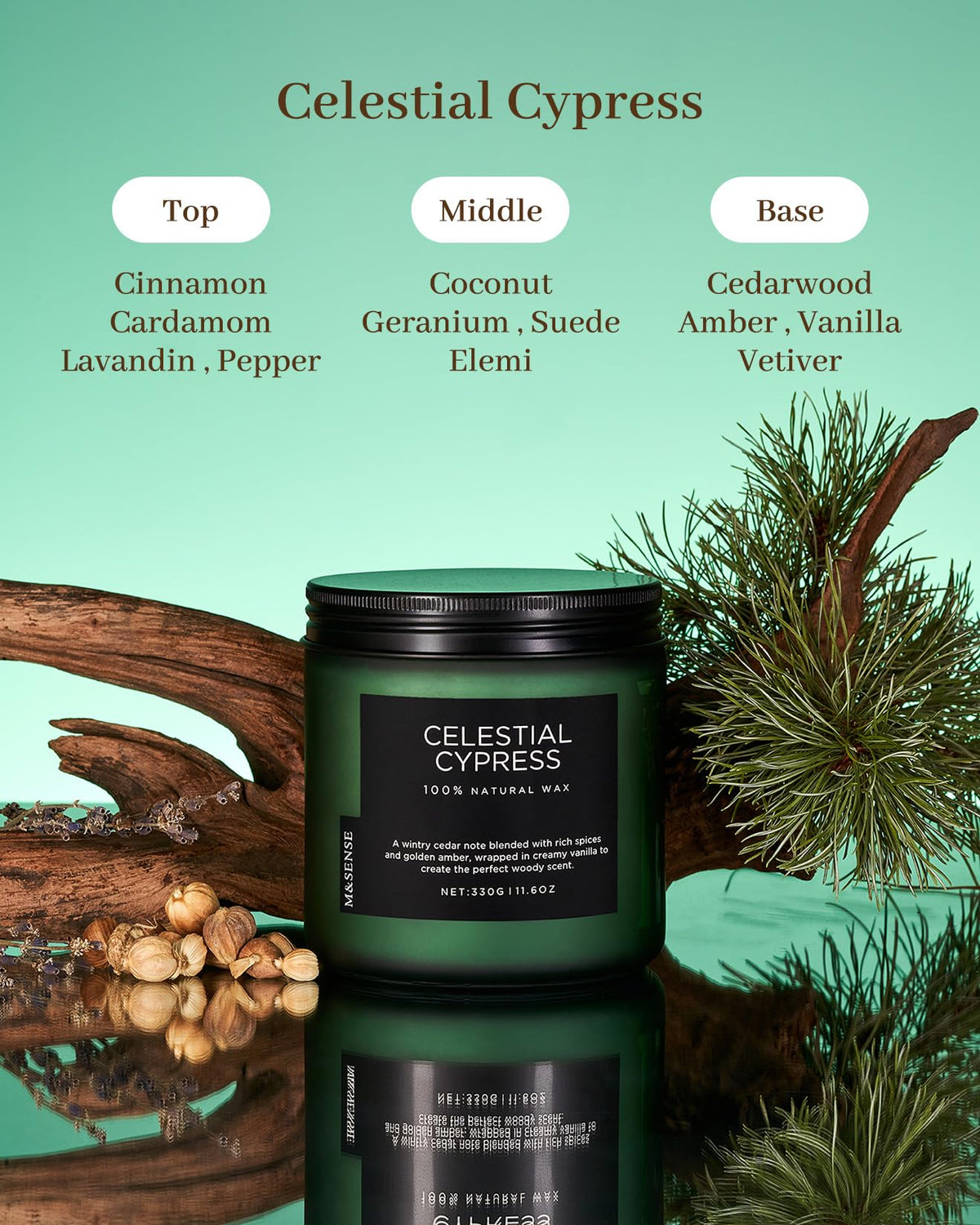 Celestial Cypress Scented Candles for Home (Celestial Cypress / Medium Jar)