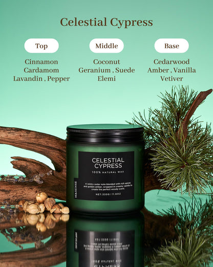Celestial Cypress Scented Candles for Home (Celestial Cypress / Medium Jar)