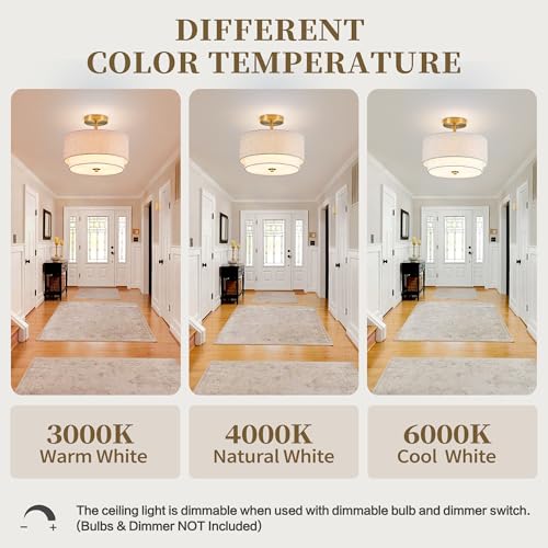 Semi Flush Mount Ceiling Light