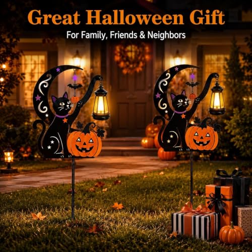 2 Pack Outdoor Yard Light Decorations