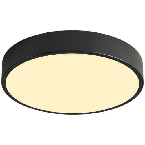 LED Low Profile Flush Mount Ceiling Light Fixture