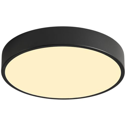 LED Low Profile Flush Mount Ceiling Light Fixture