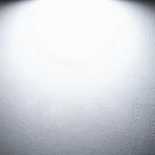 T8 4FT led Light Bulbs