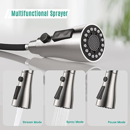 Kitchen Faucet with Pull Down Sprayer