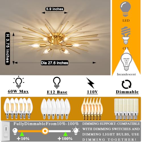 Dimmable Flush Mount Ceiling Light