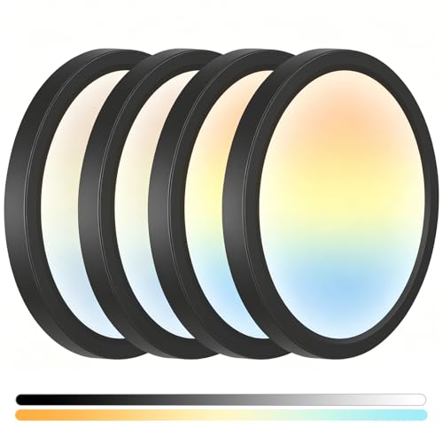 Flush Mount Ceiling Light