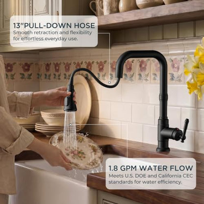 Vintage Kitchen Sink Faucet with Pull Down Sprayer
