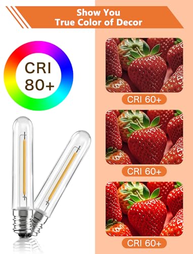 Edison LED Replacement Bulbs for Outdoor String Lights