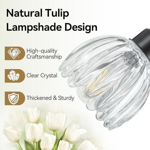 Bathroom Light Fixtures (Black - Tulip Clear / 3-light)