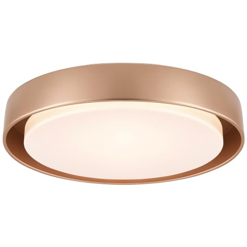 Flush Mount Ceiling Light
