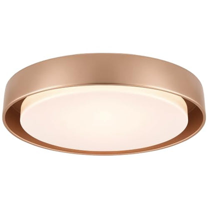 Flush Mount Ceiling Light